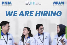 Loker BUMN Terbaru 2025: PT Mitra Utama Madani Membuka Lowongan untuk 3 Posisi, Cek Syaratnya!