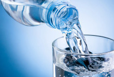 Benarkah Kurang Minum Air Putih Menyebabkan Batu Ginjal? Cari Tahu Faktanya di Sini! 