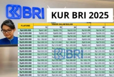 Modal Usaha Tanpa Ribet! KUR BRI 2025 Bisa Diajukan Online, Cek Syarat dan Jenisnya