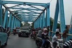 Kemunculan Buaya Jadi Tontonan, Sebabkan Kemacetan di Jembatan Komering