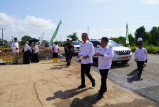 Bupati OKI Dukung Program Gerina, Dorong Kemandirian Pangan Daerah