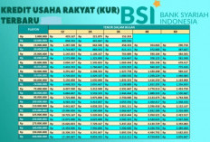 KUR BSI 2025: Segera Ajukan Pinjaman dengan Bunga Cicilan Super Ringan 0,5 Persen per Bulan, Kuota Terbatas!