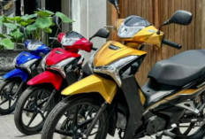 Warna Baru Supra X 2025, Kombinasi Elegan dan Fungsional