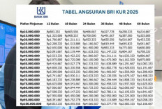 Tabel Angsuran KUR BRI 2025: Pinjaman Rp 50 Juta Tenor 36 Bulan, Ini Cicilan Per Bulannya