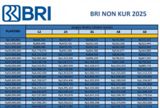 Simulasi Angsuran Pinjaman BRI 2025: Tenor Fleksibel Mulai Rp 146 Ribu/Bulan
