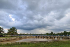 Prakiraan Palembang Sabtu 16 Agustus: Cerah Berawan Siang, Hujan Ringan Sore Hari