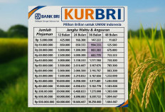 TERBARU! Syarat dan Cara Mengajukan KUR BRI 2025, Modal Usaha dengan Bunga 3%