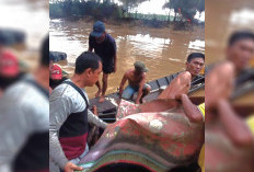 Nekat Ambil Minyak Mentah dari Sumur Ilegal, Pria di Muba Tewas Diterkam Buaya di Sungai Parung Dawas