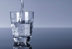 Jangan Dianggap Sepele! Ternyata Ini Bahaya Kurang Minum Air Putih untuk Kesehatan Tubuh 
