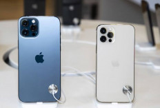 Harga iPhone 12 Pro Max Juni 2024 Alami Penurunan, Kalah Saing Sama Kompetitor?