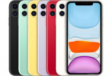 iPhone 11 Turun Drastis Hingga Rp3,5 Juta di iBox Per Mei 2024, Smartphone Flagship Apple Budget Terbatas!