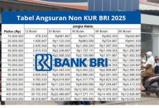 Daftar Tabel Angsuran KUR BRI 2025, Plafon Pinjaman Rp 50 – 100 Juta dengan Jangka 36 Bulan