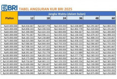 Mudah dan Cepat! KUR BRI 2025 Hadir dengan Plafon hingga Rp50 Juta, Ini Keuntungan dan Cara Pengajuannya