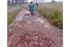 Jalan Penghubung OKI dan OKU Timur di Desa Tugumulyo Rusak Parah, Warga Mengeluh