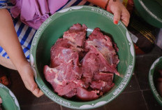 Cara Menyimpan Daging Kurban Awet Hingga 2 Tahun Anti Busuk: Tips Efektif Dijamin Masih Layak Konsumsi