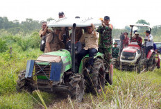 Pj Bupati OKI Kunjungi Lokasi Opla di Pampangan, Fokus pada Peningkatan Keterampilan Petani