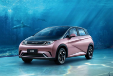 Tertarik Beli? Ini Skema Kredit BYD Dolphin 2024: Mobil Listrik Primadona!  