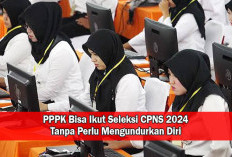 Peluang Terbuka! PPPK Bisa Ikut Seleksi CPNS 2024 Tanpa Perlu Mengundurkan Diri