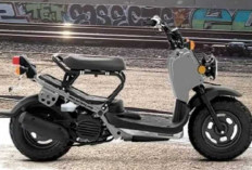 Honda Ruckus: Skuter Ikonik Rangka Skeletal, Desain Terbuka dan Performa Mesin Handal, Apakah Word It Dibeli?