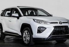 Toyota Wildlander Siap Debut di China, Tampil Mirip RAV4 dengan Pilihan Mesin Lebih Fleksibel