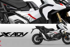 Spesifikasi Honda X ADV 750 Model Baru & Edisi Khusus: Skuter Petualang dengan Pembaruan Canggih