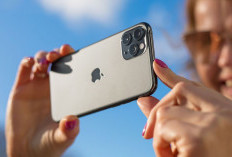 7 Tips Setting Kamera iPhone untuk Hasilkan Foto yang Berkualitas