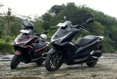 Update Harga Honda PCX 2025: Varian termurah Masih di Rp 34 Jutaan