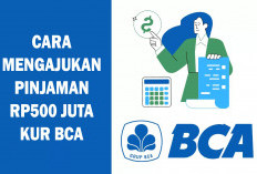 KUR BCA 2024, Solusi Terbaik untuk UMKM dengan Pinjaman Modal Hingga Rp500 Juta