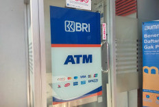 Jangan Asal Ajukan! Ini 8 Tips Agar KUR BRI 2025 Cepat Cair dan Tak Ditolak