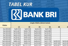 Tabel Angsuran KUR BRI 2025: Cicilan Ringan, Modal Usaha Makin Lancar