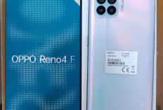 Alasan Mengapa OPPO Reno4 F Masih Layak Dibeli! Performa Memukau dengan 4 Kamera Unggulan