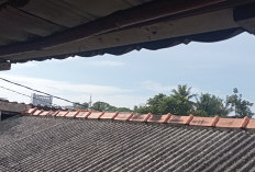 Prakiraan Cuaca Sumatera Selatan 23 Oktober 2025: OKI Waspadai Hujan Ringan Malam Hari!