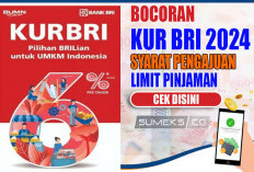 Syarat Ajukan KUR BRI 2024, Plafon Rp50 Juta Cair Tanpa Ribet