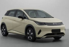 BYD Dolphin Meluncur di Indonesia! Hatchback Listrik Stylish dengan Teknologi Mutakhir, Ini Spesifikasinya!