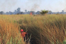 5,7 Hektare Lahan Terbakar di Ogan Ilir Sepanjang 2025, Tim Gabungan Tingkatkan Patroli