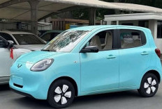 Wuling Hongguang Mini EV 5 Pintu Resmi Diluncurkan: Mobil Listrik Mini dengan Harga Terjangkau