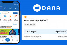 4 Aplikasi Terbaik untuk Mendapatkan Saldo DANA Gratis, Instal Sekarang Juga