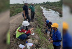 DLH Banyuasin Nyatakan Hasil Negatif dalam Dugaan Pencemaran Limbah PT CCL