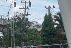 LRT Mogok, Puluhan Penumpang Terpaksa Jalan Kaki Efek dari Pemadaman Listrik, Netizen: Pasti Sambil Berutukan