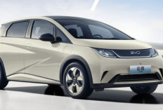 Mobil Listrik BYD Dolphin Hadir dengan Tampilan Stylish dan Jarak Tempuh Memuaskan! Ini Spesifikasinya