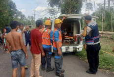 Tersengat Aliran Listrik, Petugas PLN Alami Luka Bakar 60 Persen