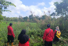 Ketinggian Air Stabil, Lahan Gambut di OKI Tetap Rentan Terhadap Karhutla