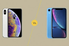 Adu Spesifikasi dan Harga iPhone XR vs iPhone XS per Juni 2024, Masih Worth It Dibeli?