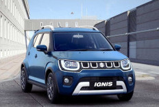 Mini SUV Rasa Hatchback! Suzuki Ignis Tampil Stylish dengan Harga Terjangkau