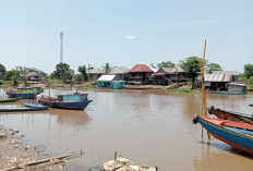 Kemunculan Buaya Bikin Heboh, Camat Kayuagung Imbau Warga Kurangi Aktivitas di Sungai Komering