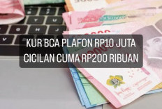 Pinjaman KUR BCA 2024 Plafon Rp10 Juta Cicilan Cuma Rp200 Ribuan, Siapkan Syarat Ini