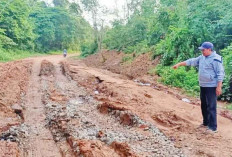Perbaikan Jalan Poros Tulung Selapan Dapat Suntikan Dana Bangub Rp30 Miliar