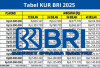 Syarat dan Tabel Angsuran KUR BRI 2025, Lengkap dengan Cara Pengajuannya