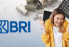 Tanpa ke Bank! Ini Cara Online Ajukan KUR BRI 2025 Lewat kur.bri.co.id