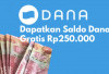 Gampang Banget! Dapatkan Saldo DANA Rp250 Ribu Hanya dengan Membagikan Link